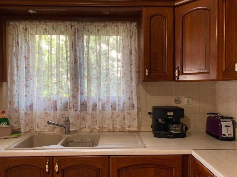 Helen'S House Apartment Palairos ภายนอก รูปภาพ
