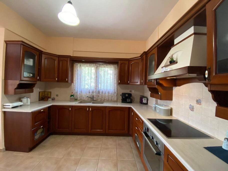 Helen'S House Apartment Palairos ภายนอก รูปภาพ